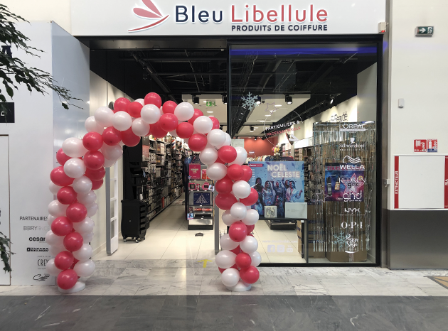 Carrousel Boutique Bleu Libellule Pau