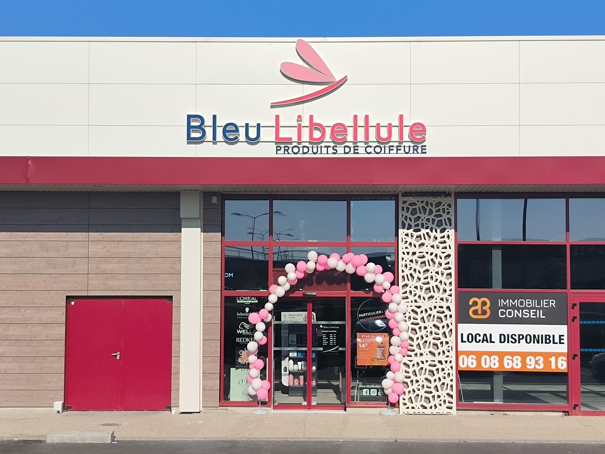 Boutique Bleu Libellule Bourges